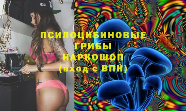 мдма Бородино