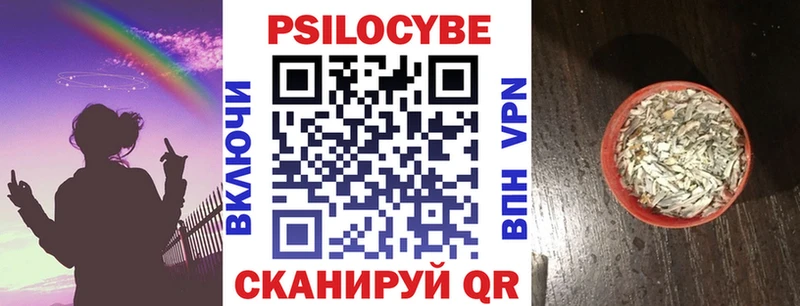 что такое   Кизилюрт  Галлюциногенные грибы прущие грибы 